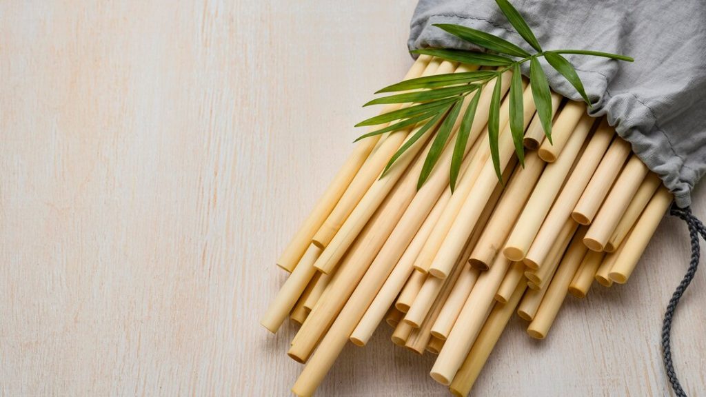 miswak stick