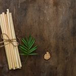 miswak stick