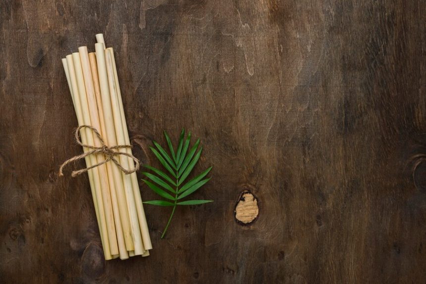 miswak stick