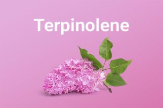 terpinolene