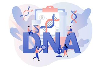 autosomal dna test