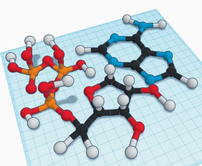 how does pmai influence glycolysis and oxphos