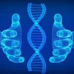 nativoslab ruc