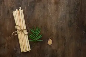 miswak stick