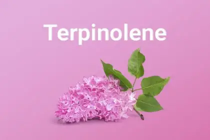 terpinolene