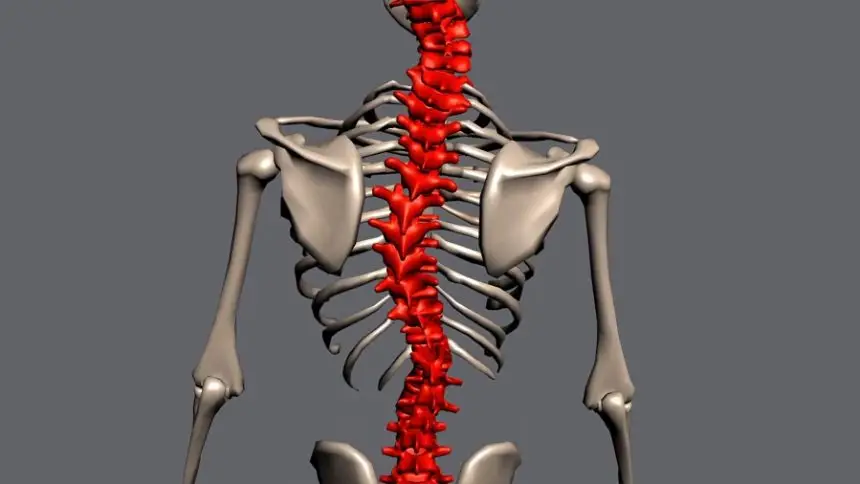 depomethod scoliosis