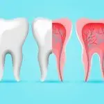village dental