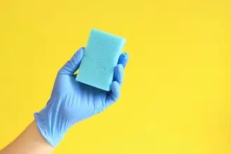 paraspeck miran sponge