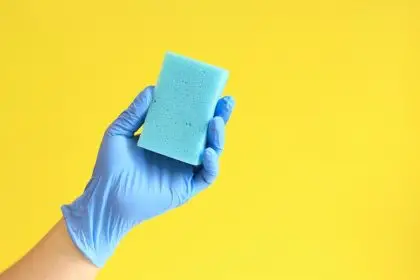 paraspeck miran sponge