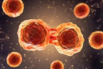 what cell type iis marked by dclk1