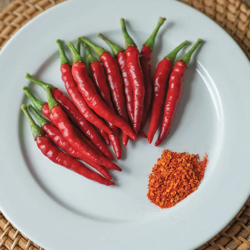 can i take cayenne with burdock